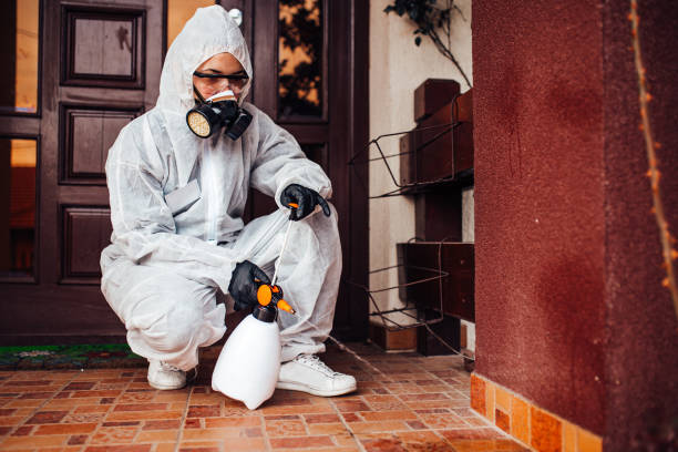 Reliable Cockroach Control contractor in Fort Lauderdale, FL by Nex Pest Control